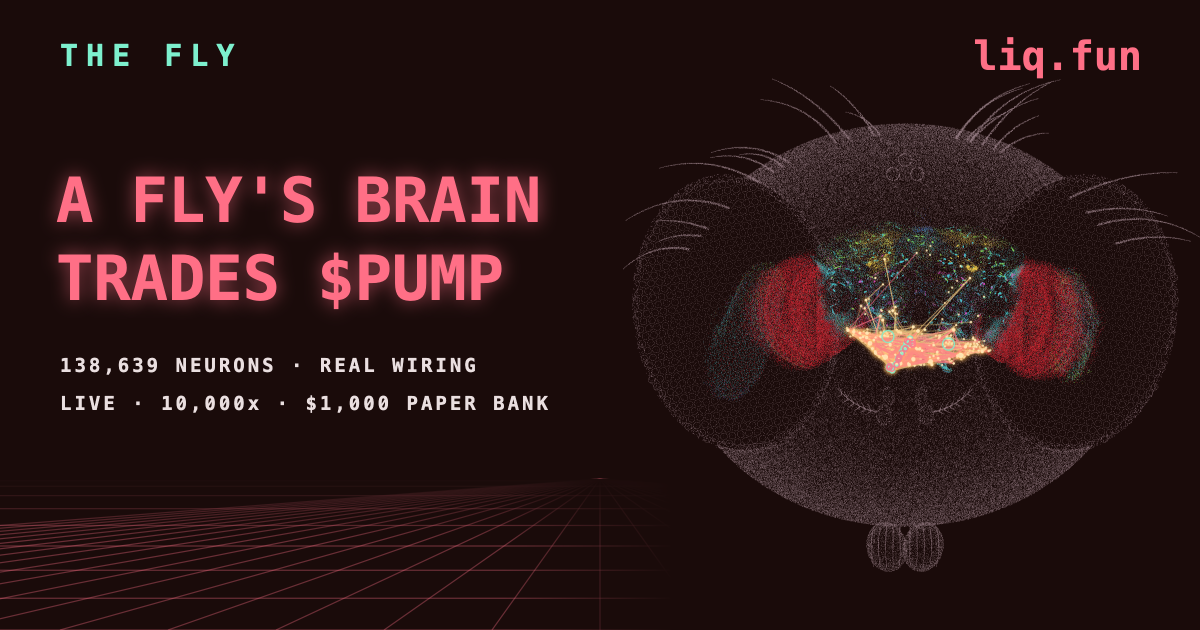 We gave a fruit fly's brain $1,000 and let it trade $PUMP at 10,000x